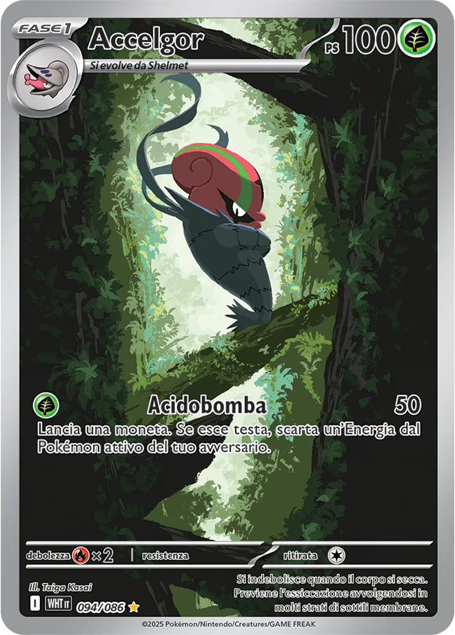 Immagine prodotto 1