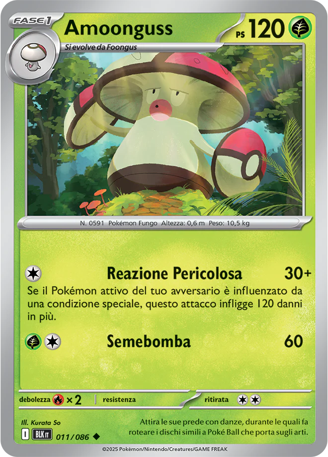 Immagine prodotto 1