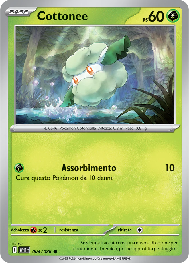 Immagine prodotto 1