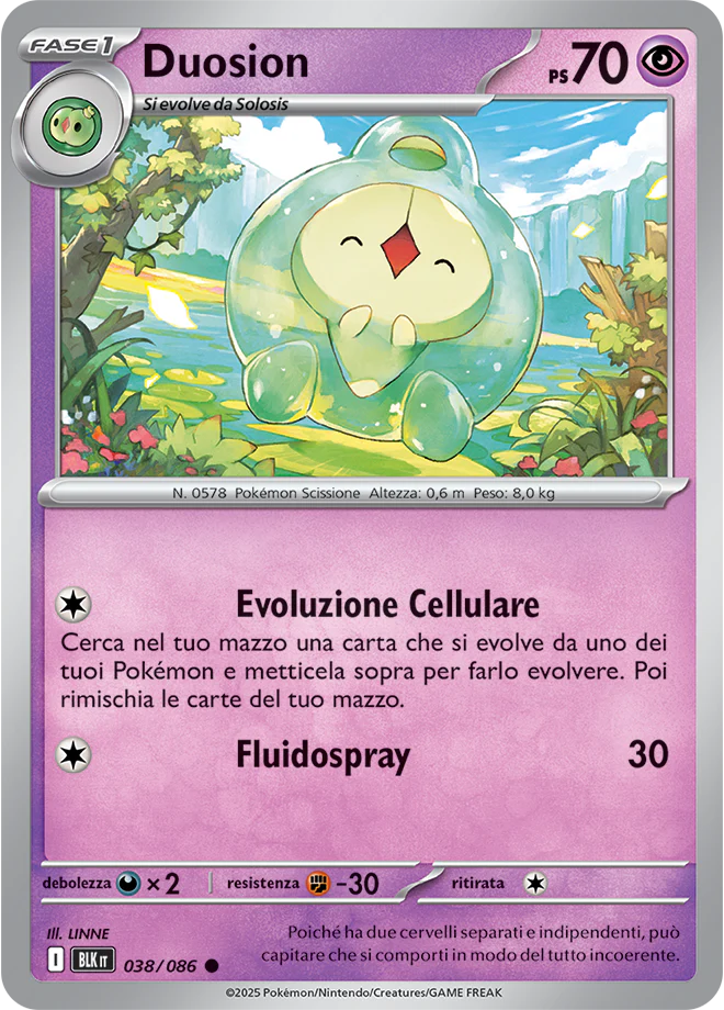 Immagine prodotto 1