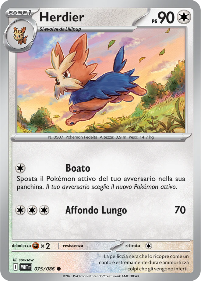 Immagine prodotto 1