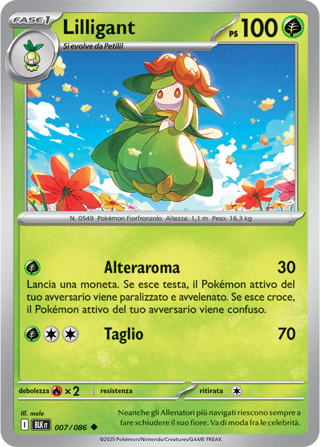 Immagine prodotto 1