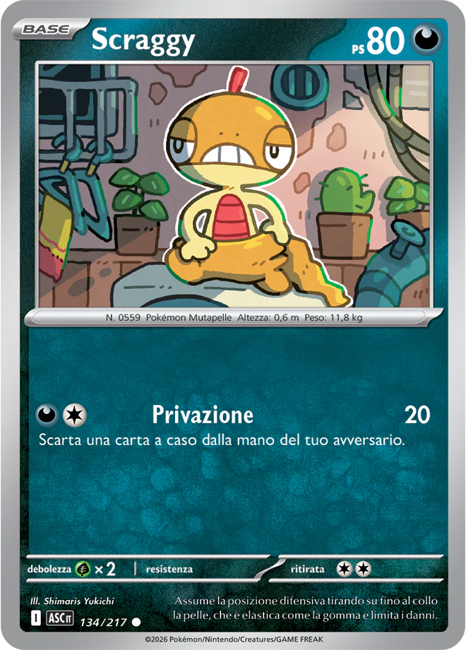 Immagine prodotto 1
